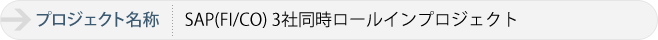 SAP(FI/CO) 3社同時ロールインプロジェクト