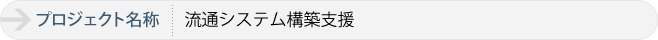流通システム構築支援