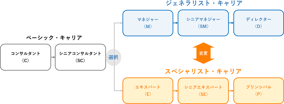 キャリアパス図表