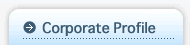 Corporate Profile
